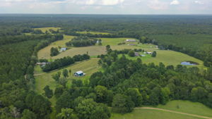 Pinola-Braxton-15