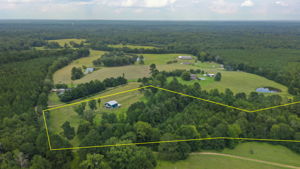 Pinola-Braxton-15b