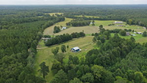 Pinola-Braxton-16