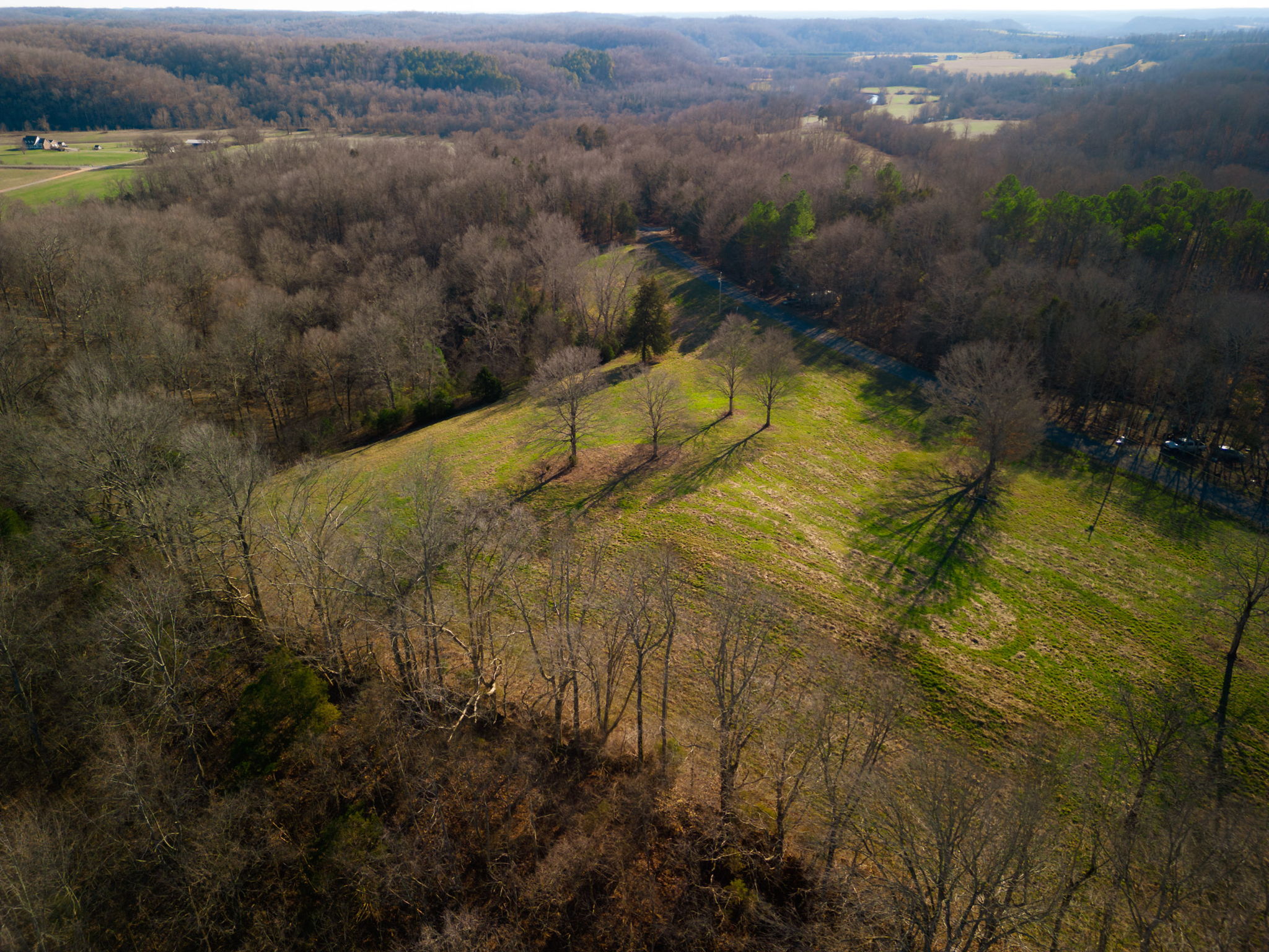 01 Primm Springs Rd, Primm Springs TN Wes Stone & CryeLeike Realtors