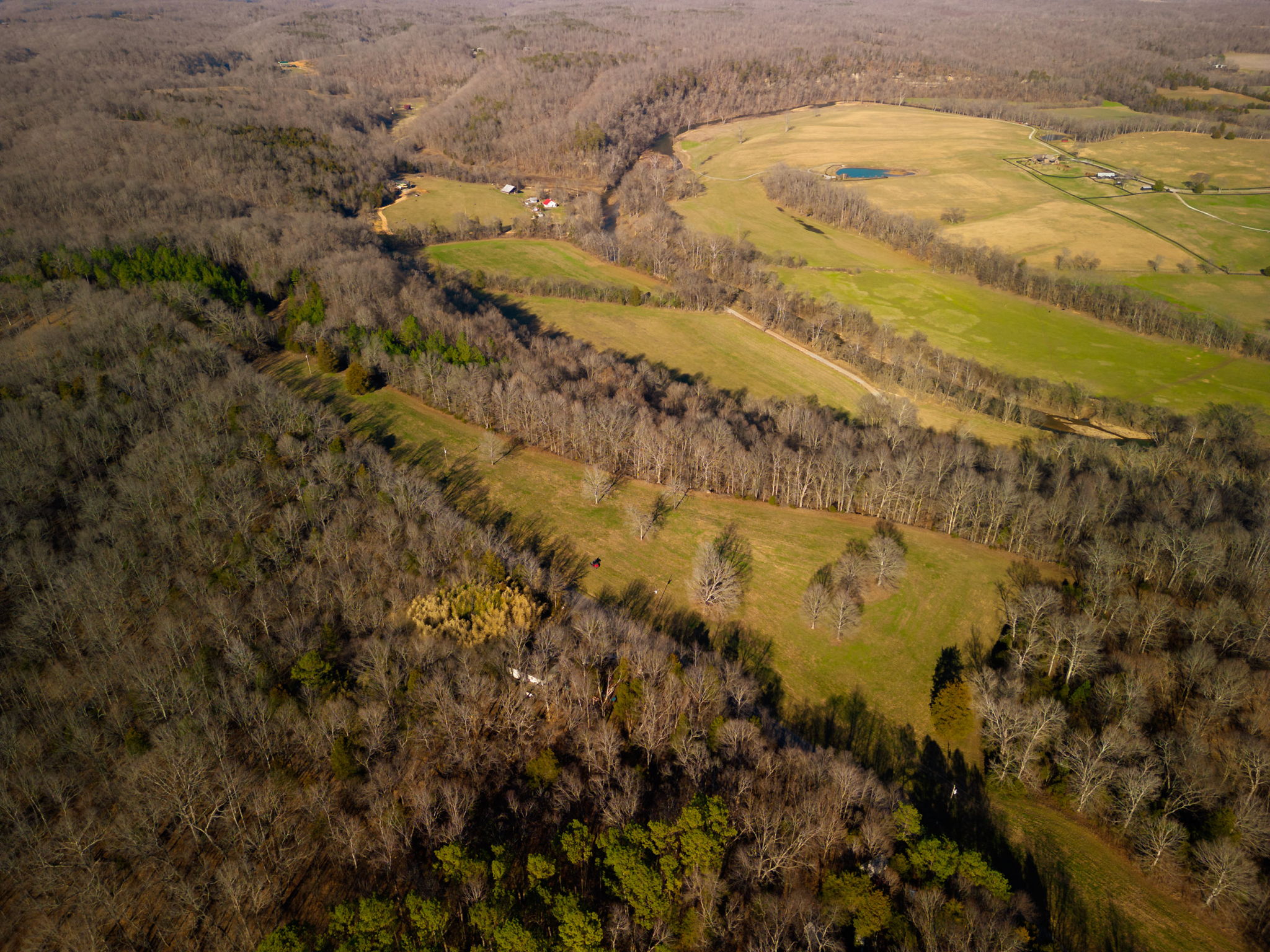 01 Primm Springs Rd, Primm Springs TN Wes Stone & CryeLeike Realtors