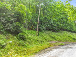  Photo 0