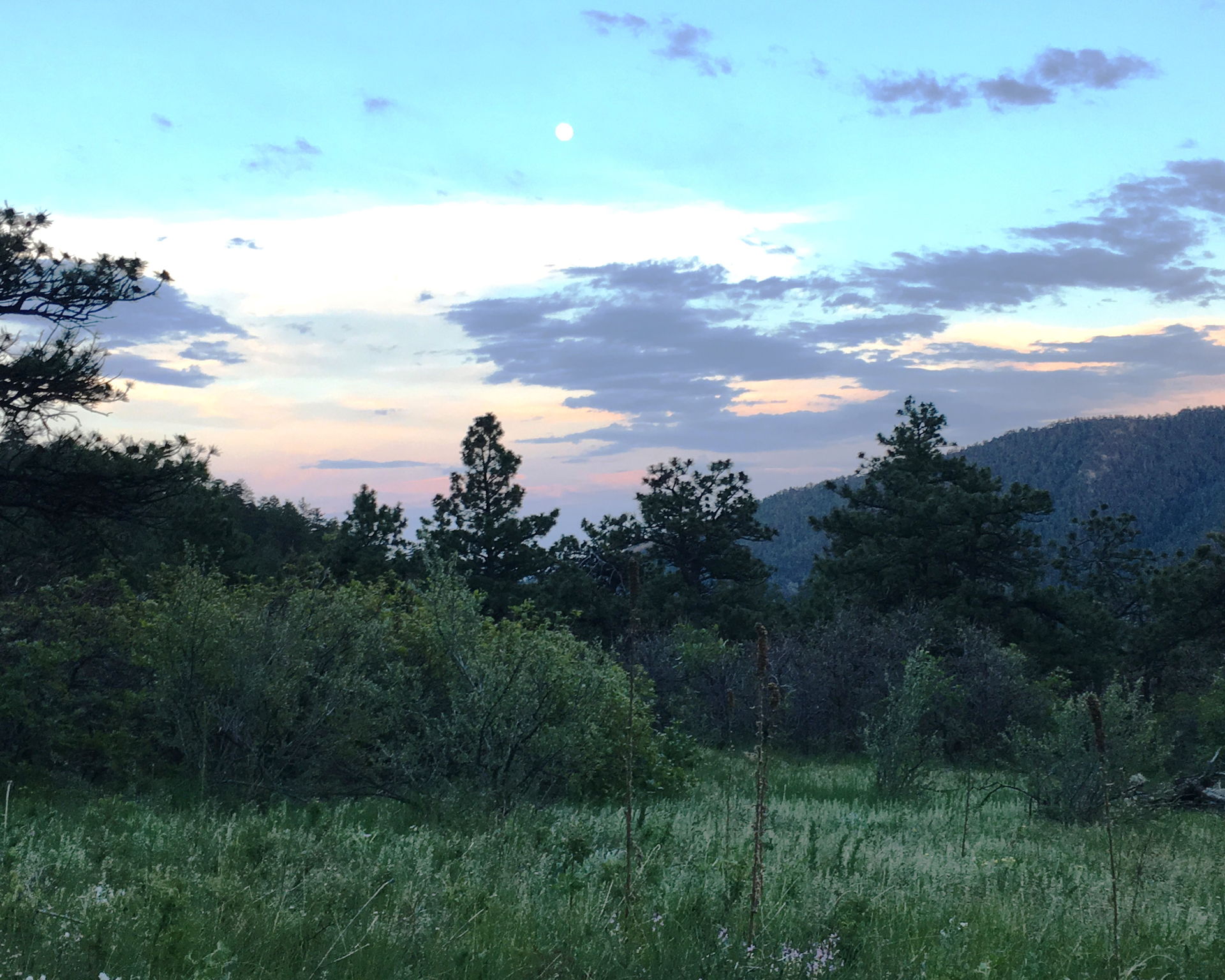 Beautiful Sunset