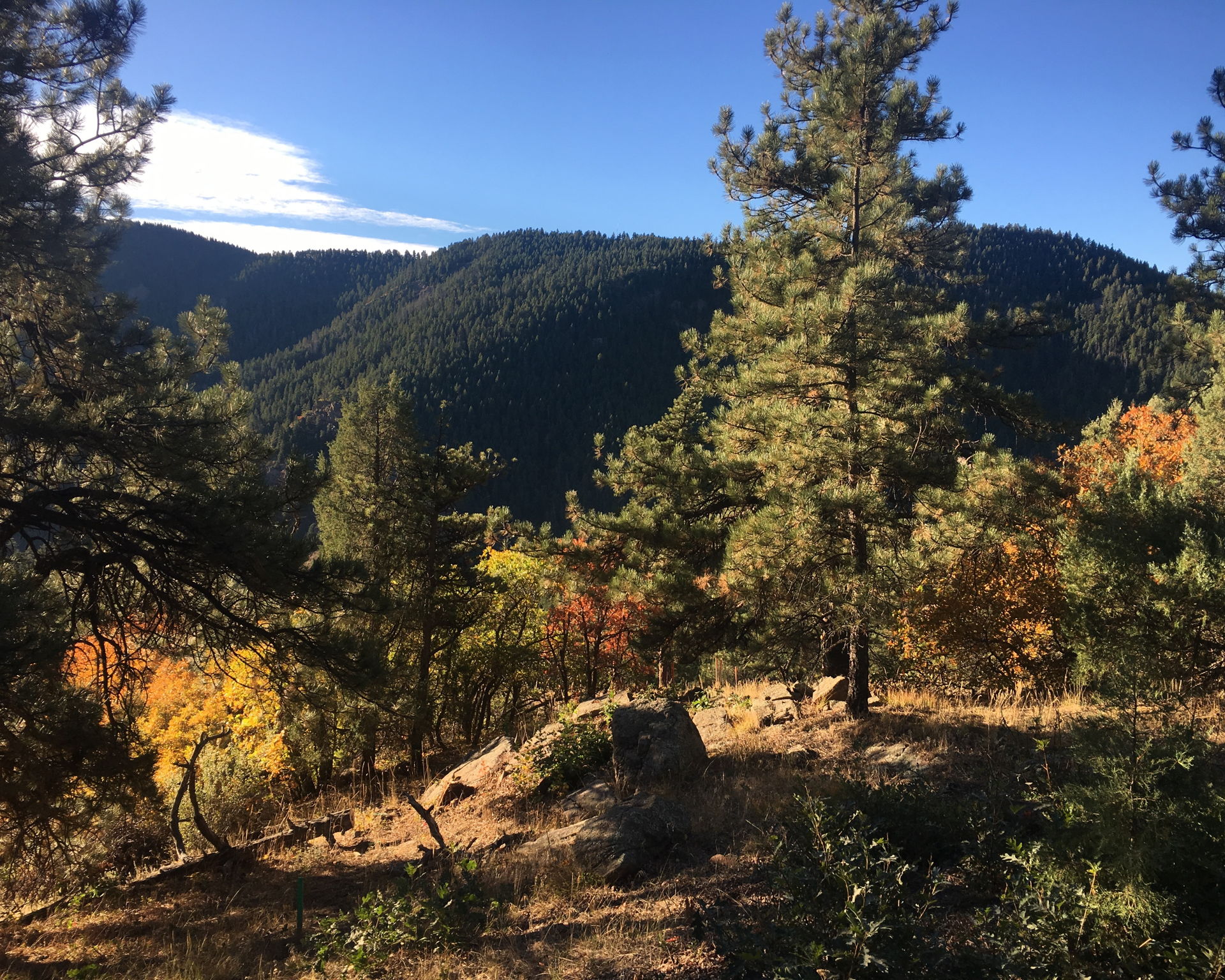 And fall colors