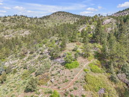 With Trails throughout the property