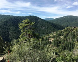  Photo 41