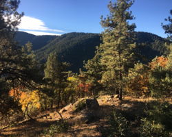 And fall colors