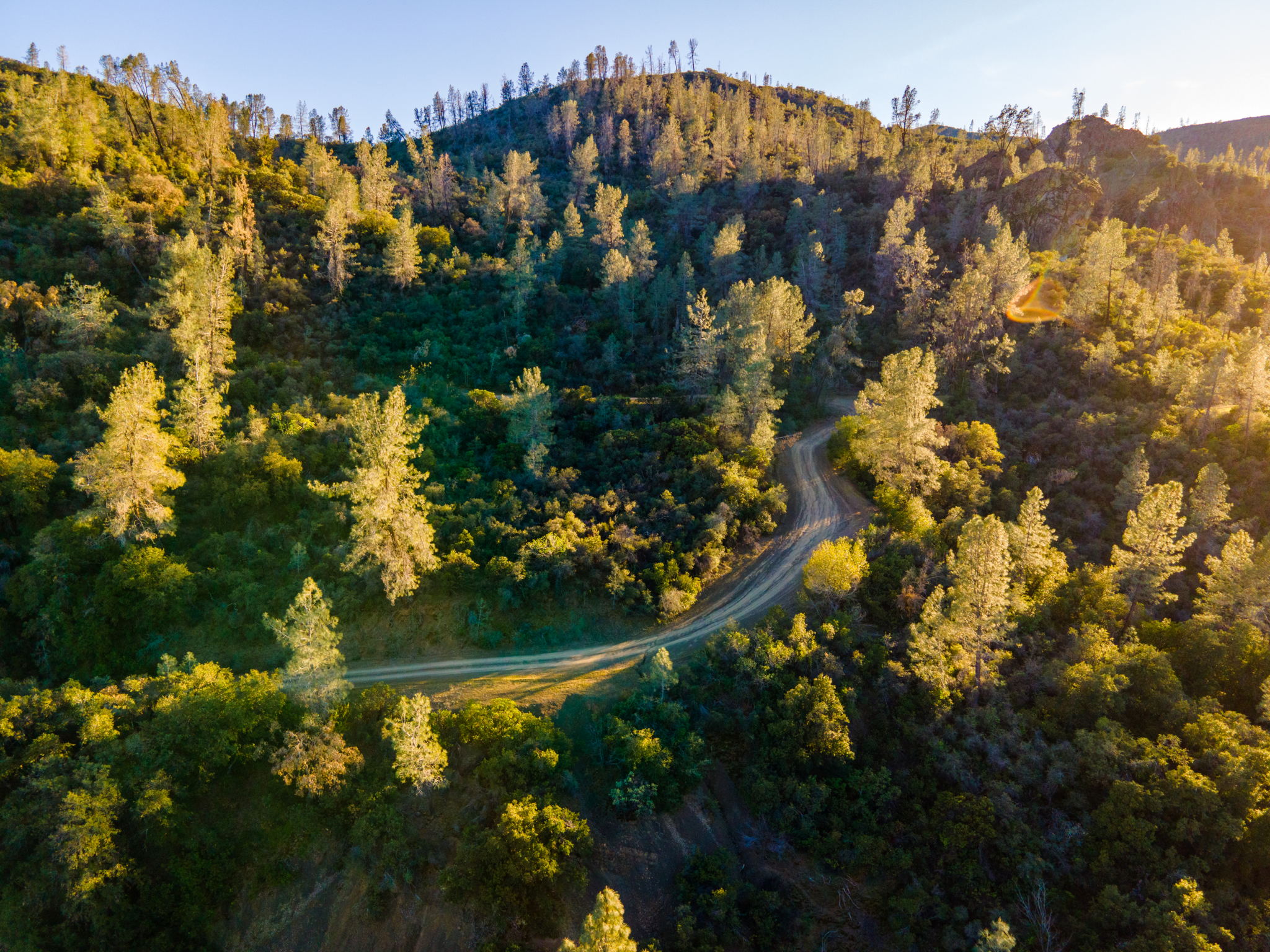 Ridge Rd, California 96080, USA Photo 14