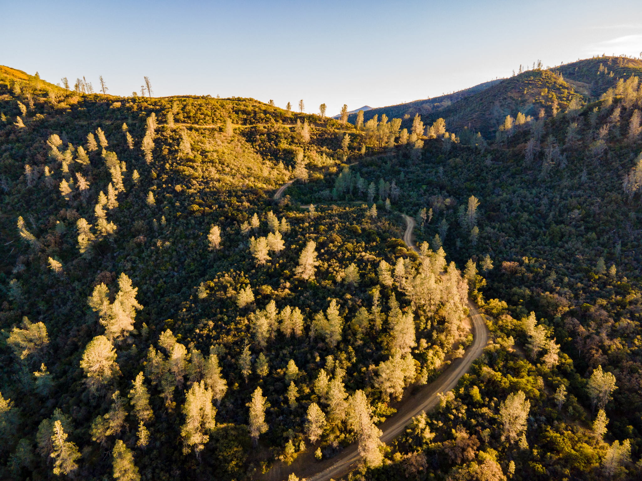 Ridge Rd, California 96080, USA Photo 16