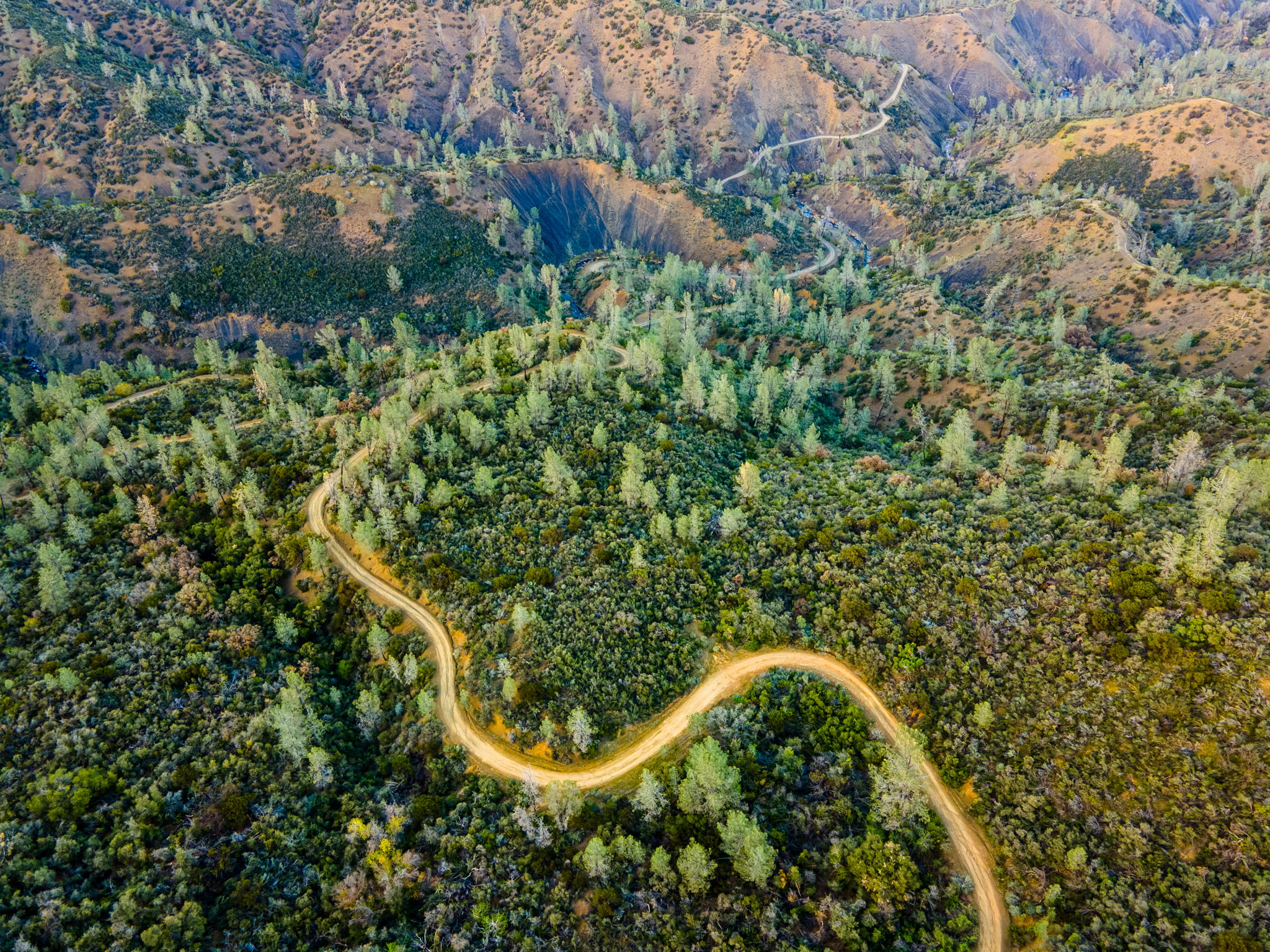 Ridge Rd, California 96080, USA Photo 5