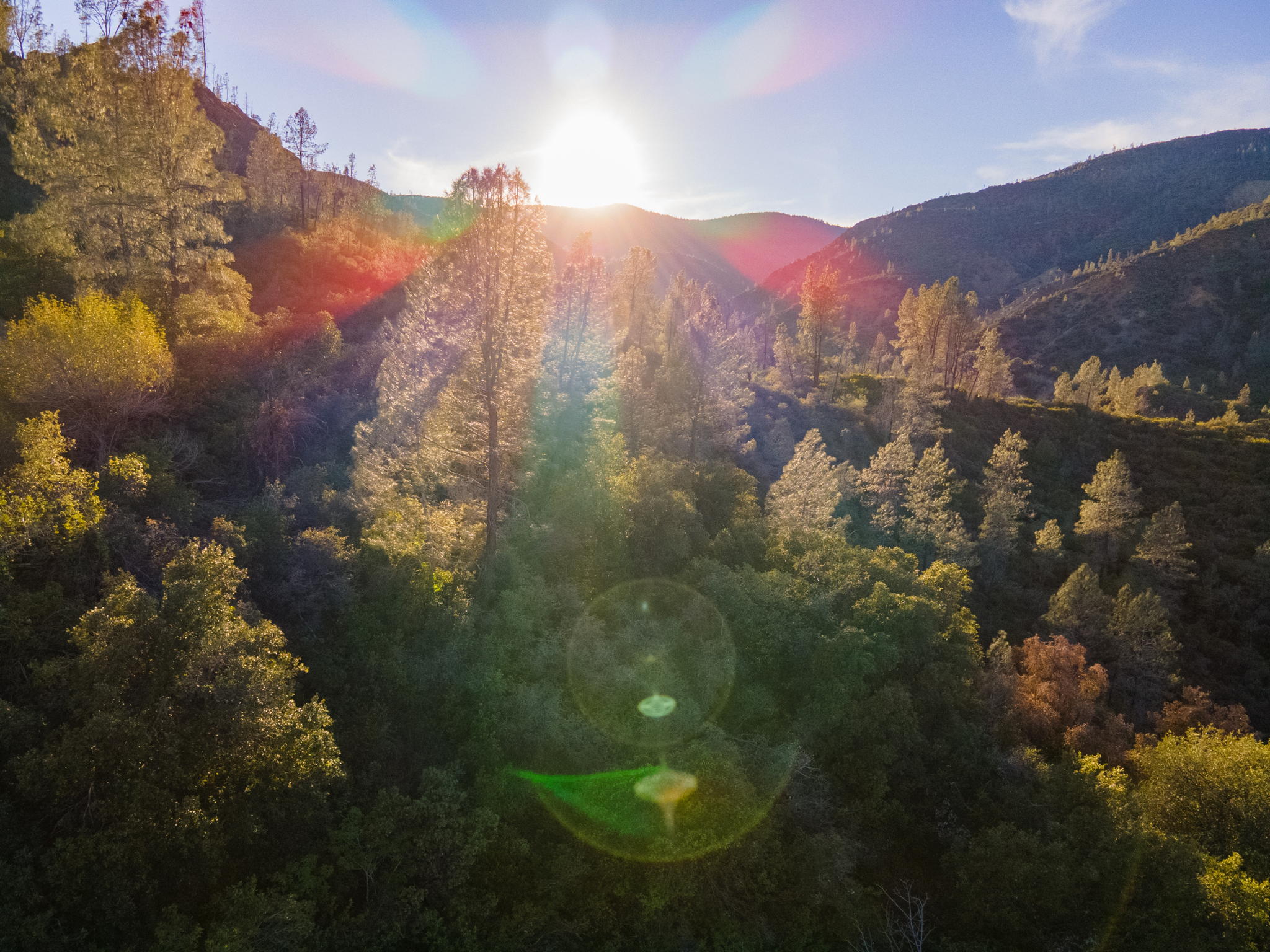 Ridge Rd, California 96080, USA Photo 20