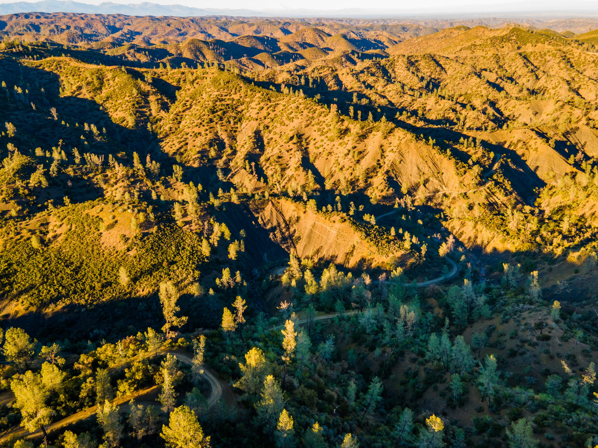 Ridge Rd, California 96080, USA Photo 19