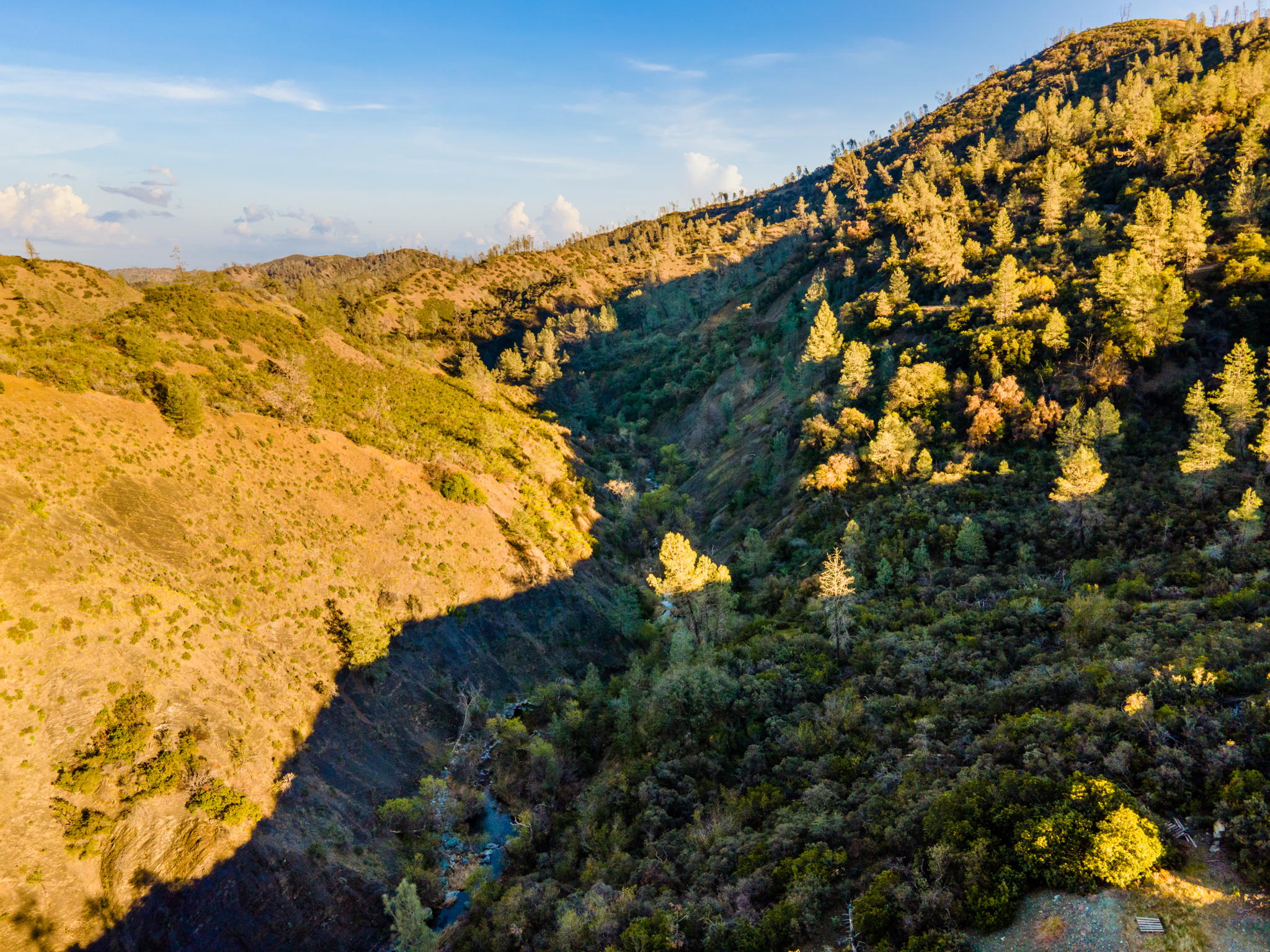 Ridge Rd, California 96080, USA Photo 11