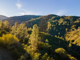 Ridge Rd, California 96080, USA Photo 11