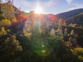 Ridge Rd, California 96080, USA Photo 19