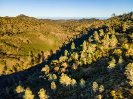 Ridge Rd, California 96080, USA Photo 12