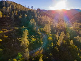 Ridge Rd, California 96080, USA Photo 14