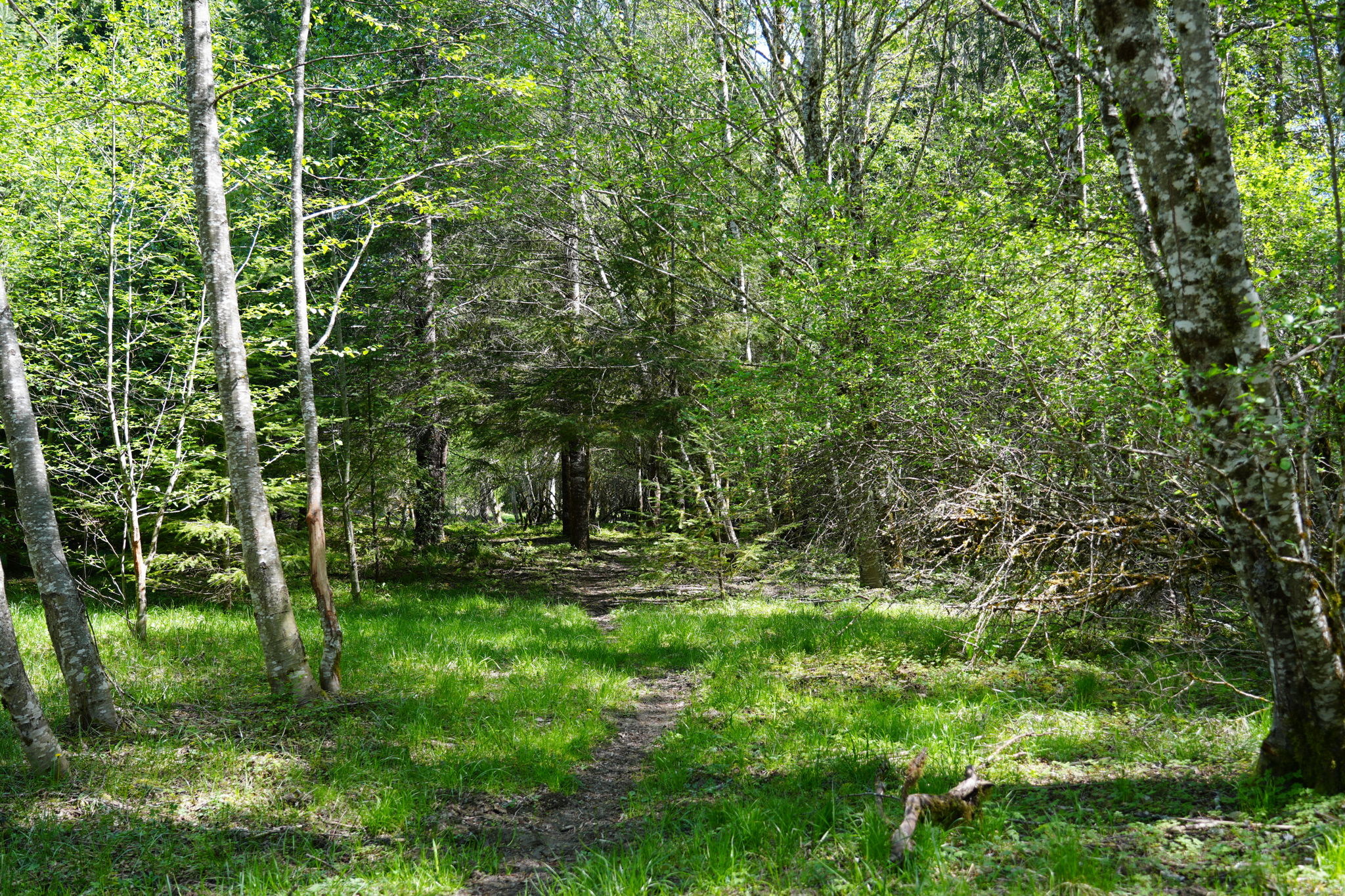  Photo 24