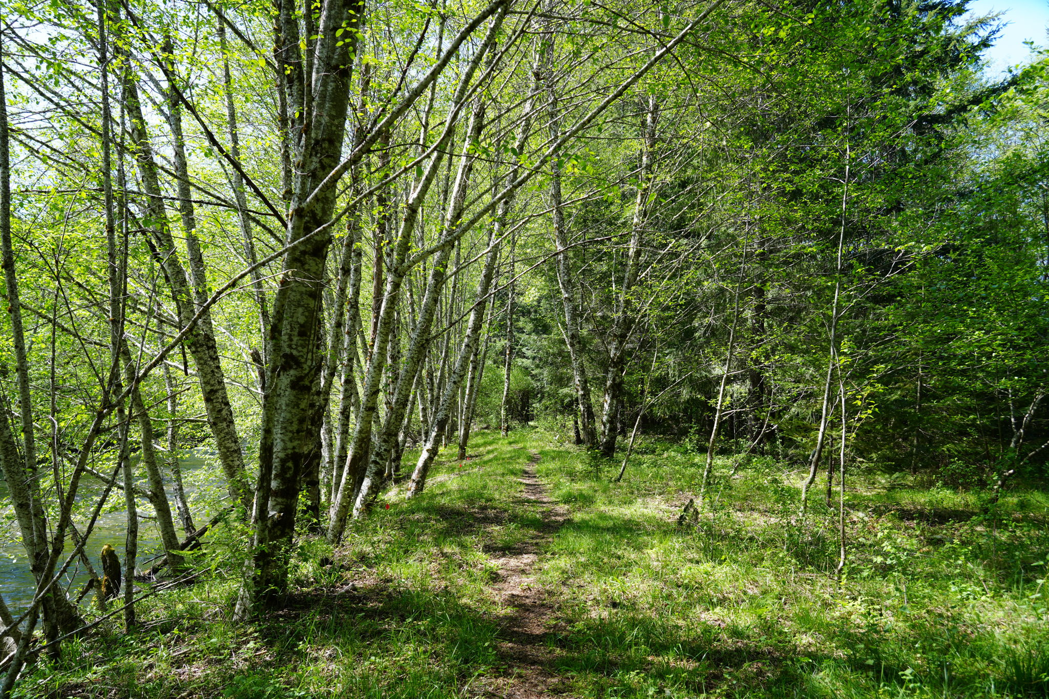  Photo 32