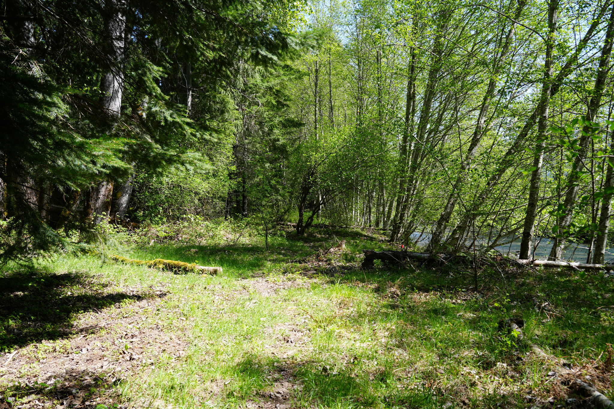  Photo 35
