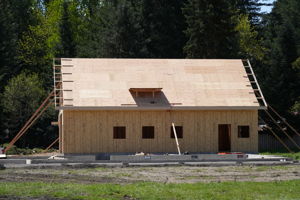  Photo 12