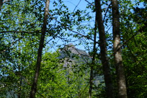  Photo 24