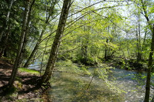  Photo 30