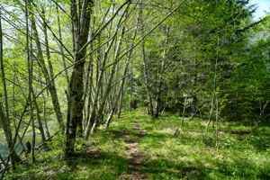  Photo 31