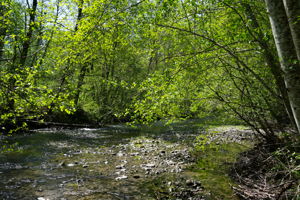  Photo 32