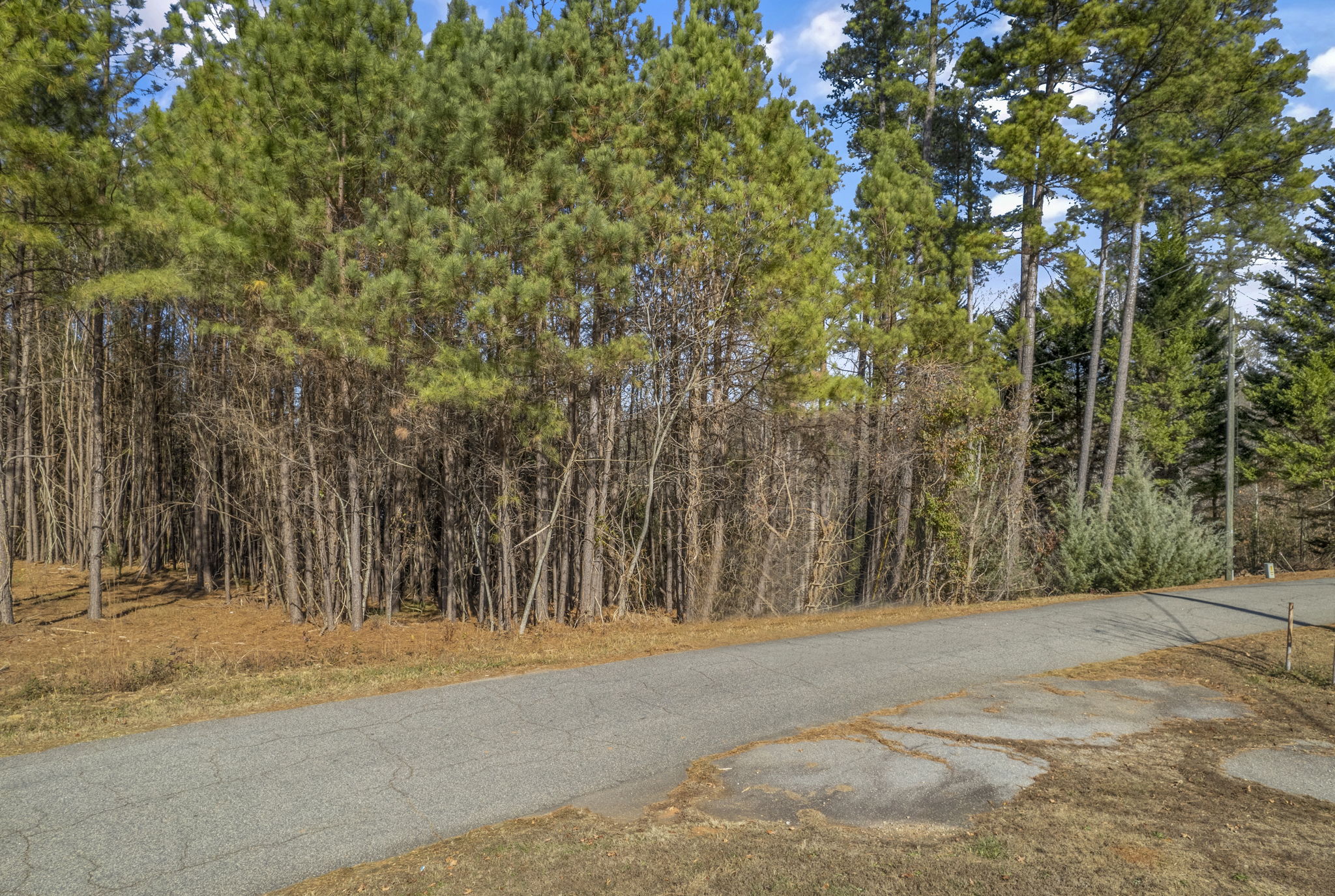 Rock Hill Church Road Lot 35, Inman, SC 29349 | 864 3D Virtual Tours