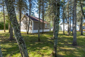  Photo 43
