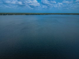 Lake Tarpon Water View1