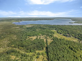  Photo 0