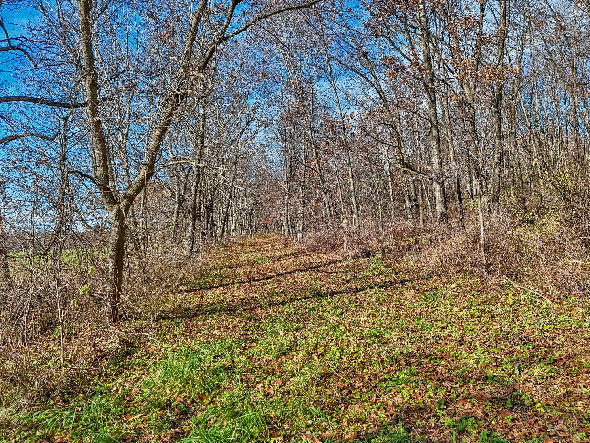 S7441 Denzer Rd, North Freedom, WI 53951 | Zillow Media Experts