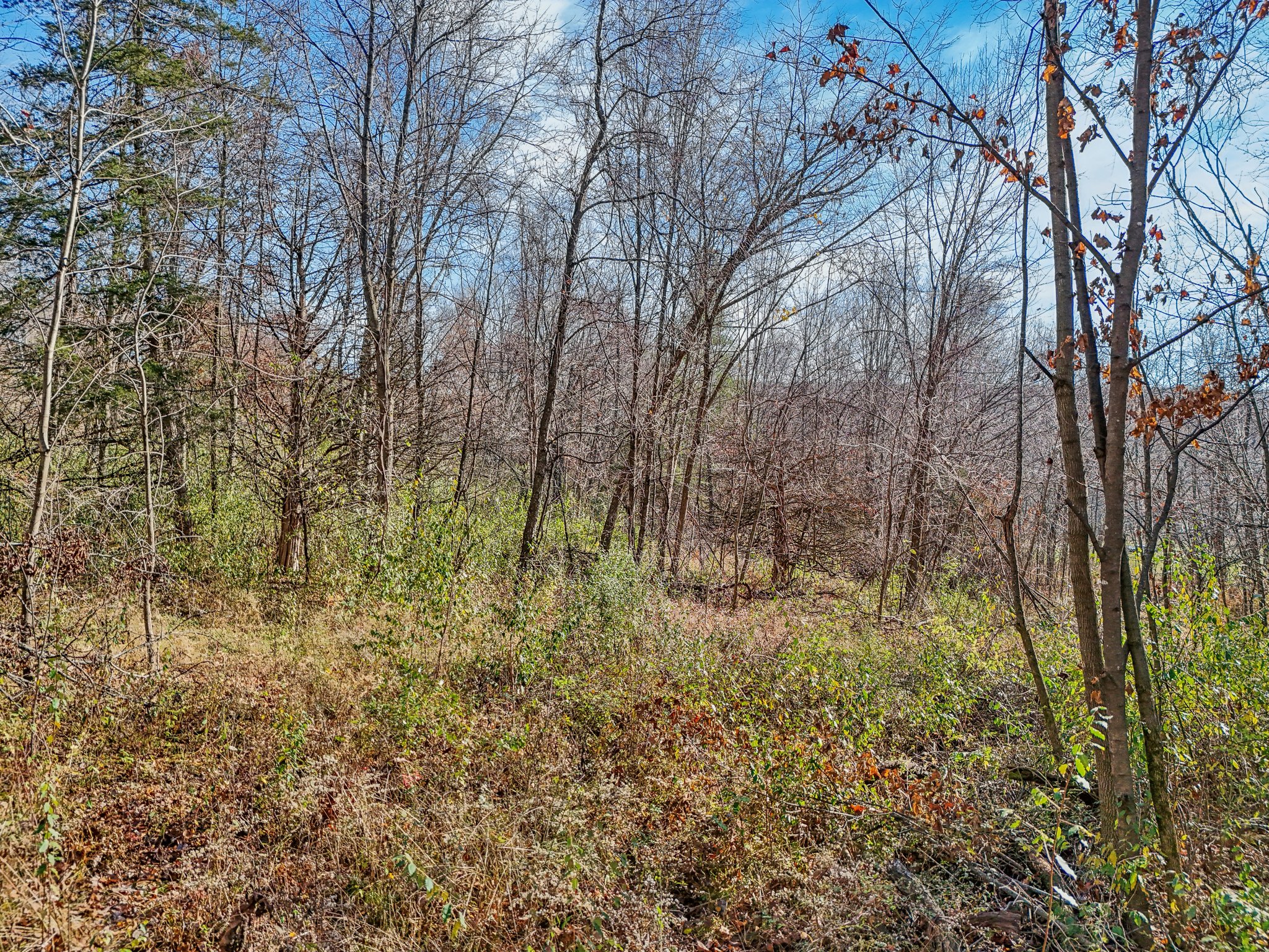 S7441 Denzer Rd, North Freedom, WI 53951 | Zillow Media Experts