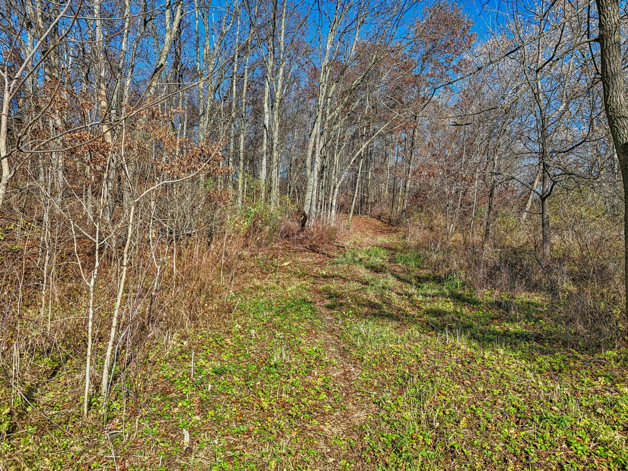 S7441 Denzer Rd, North Freedom, WI 53951 | Zillow Media Experts