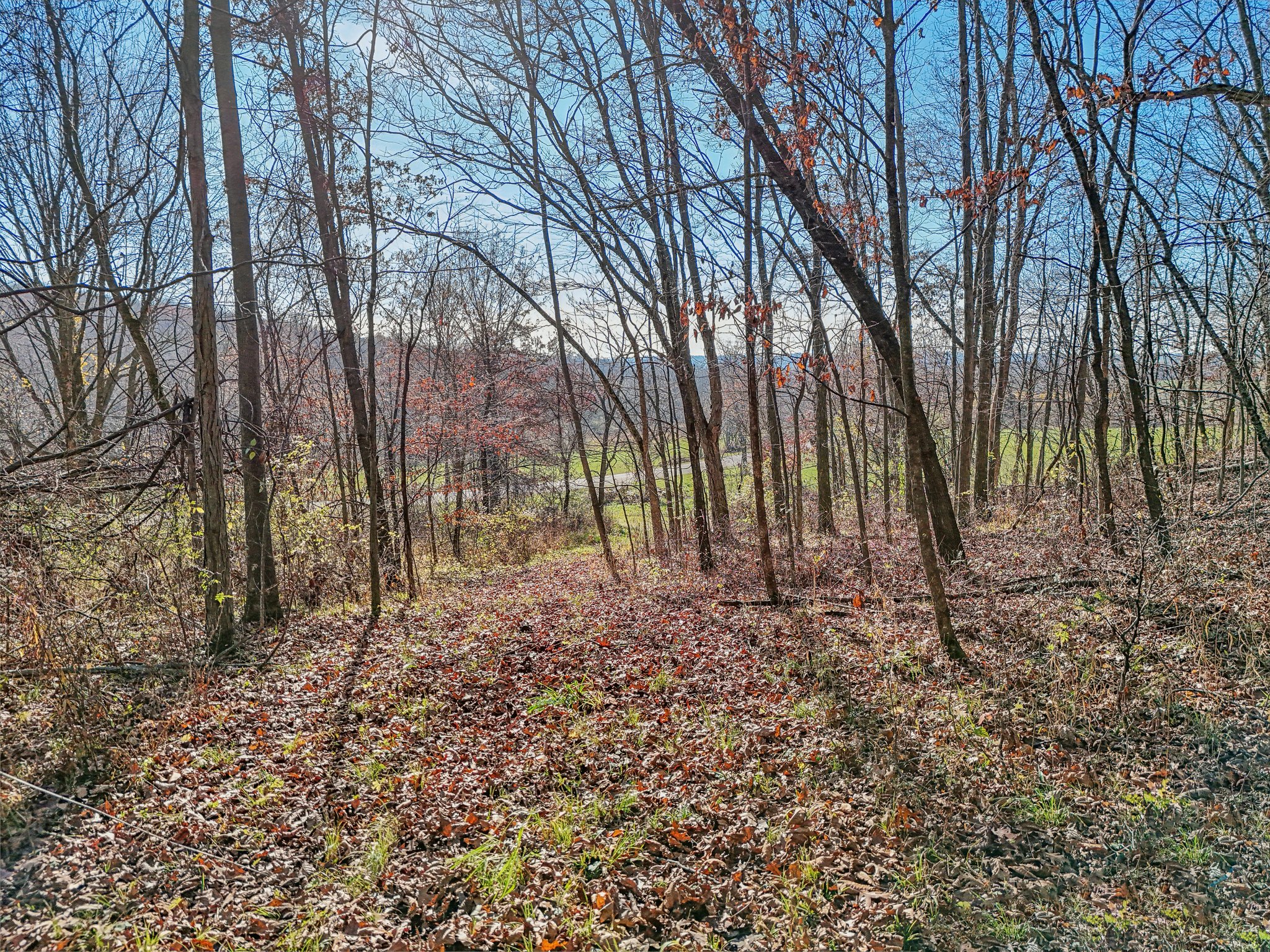 S7441 Denzer Rd, North Freedom, WI 53951 | Zillow Media Experts