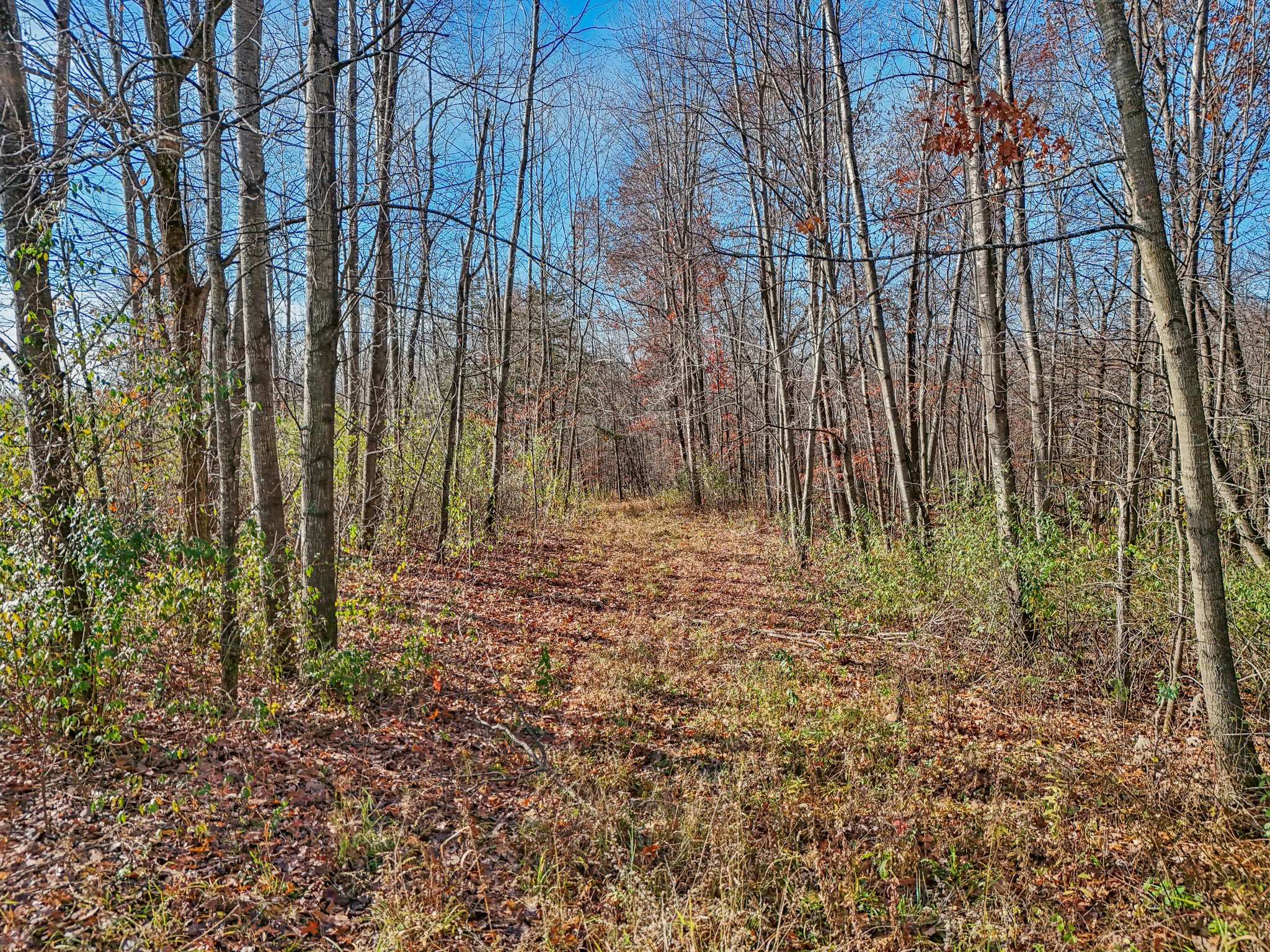 S7441 Denzer Rd, North Freedom, WI 53951 | Zillow Media Experts