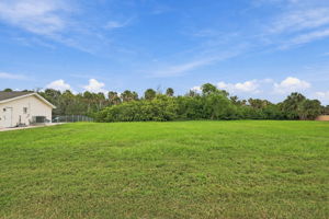 Vacant Lot (3)
