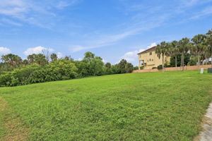 Vacant Lot (5)