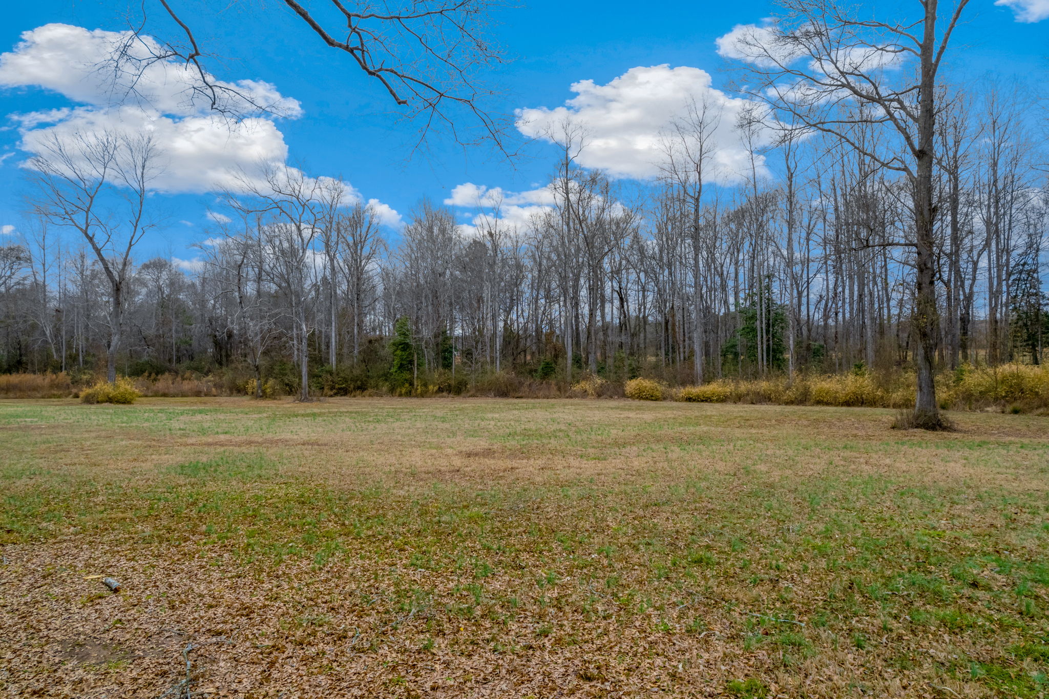 Sheila Drive, Williamston, SC 29697 864 3D Virtual Tours