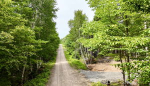  Photo 0