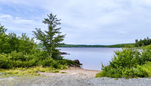  Photo 43
