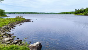  Photo 45