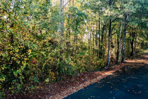 Sipe Dr, Claremont, NC 28610, USA Photo 0