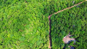 Aerial drone photography of Little rock, Arkansas by Avery & Bryant