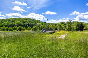  Photo 48