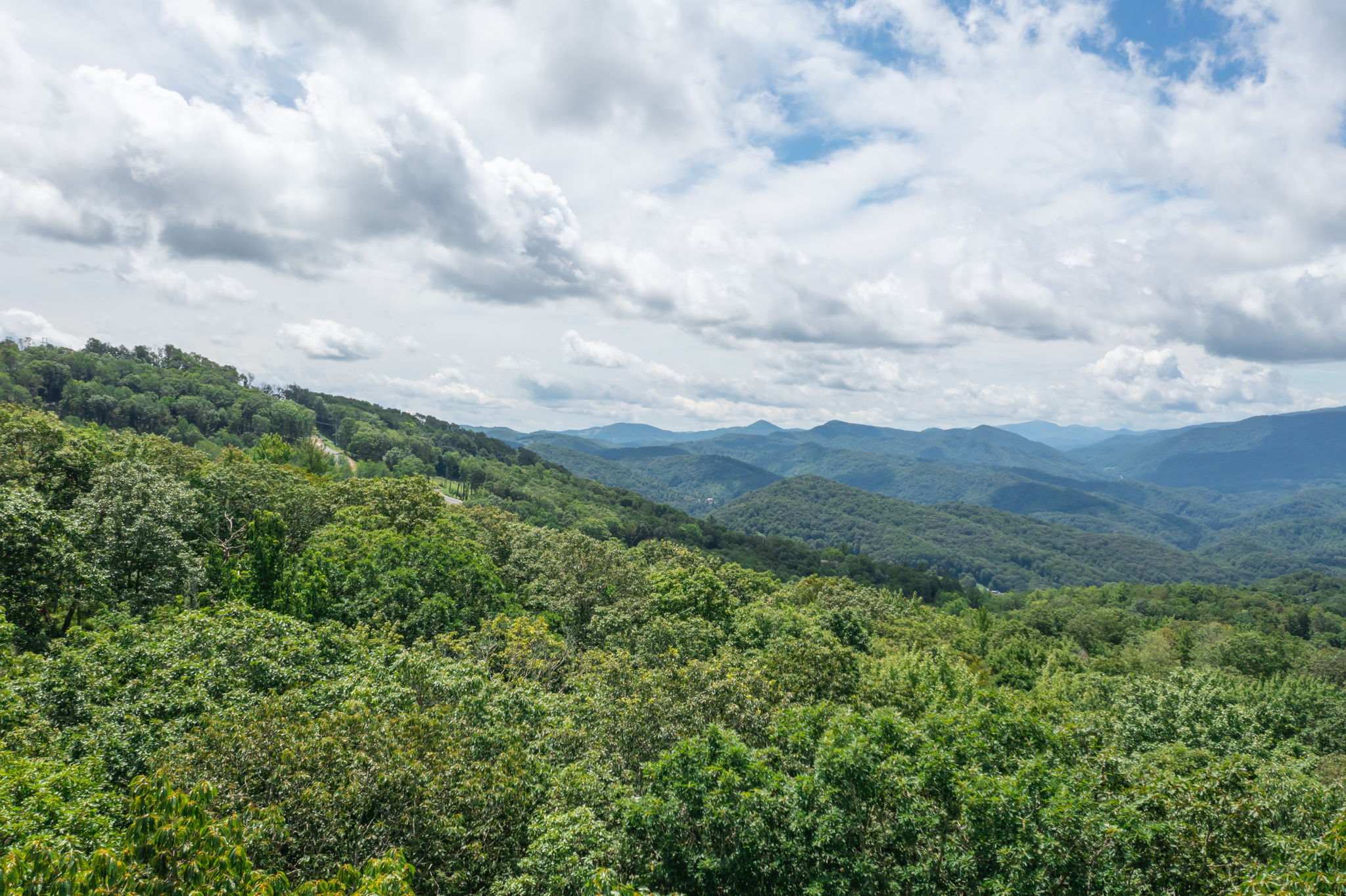 DJI_0110