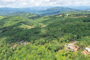 DJI_0104