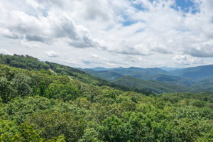 DJI_0110